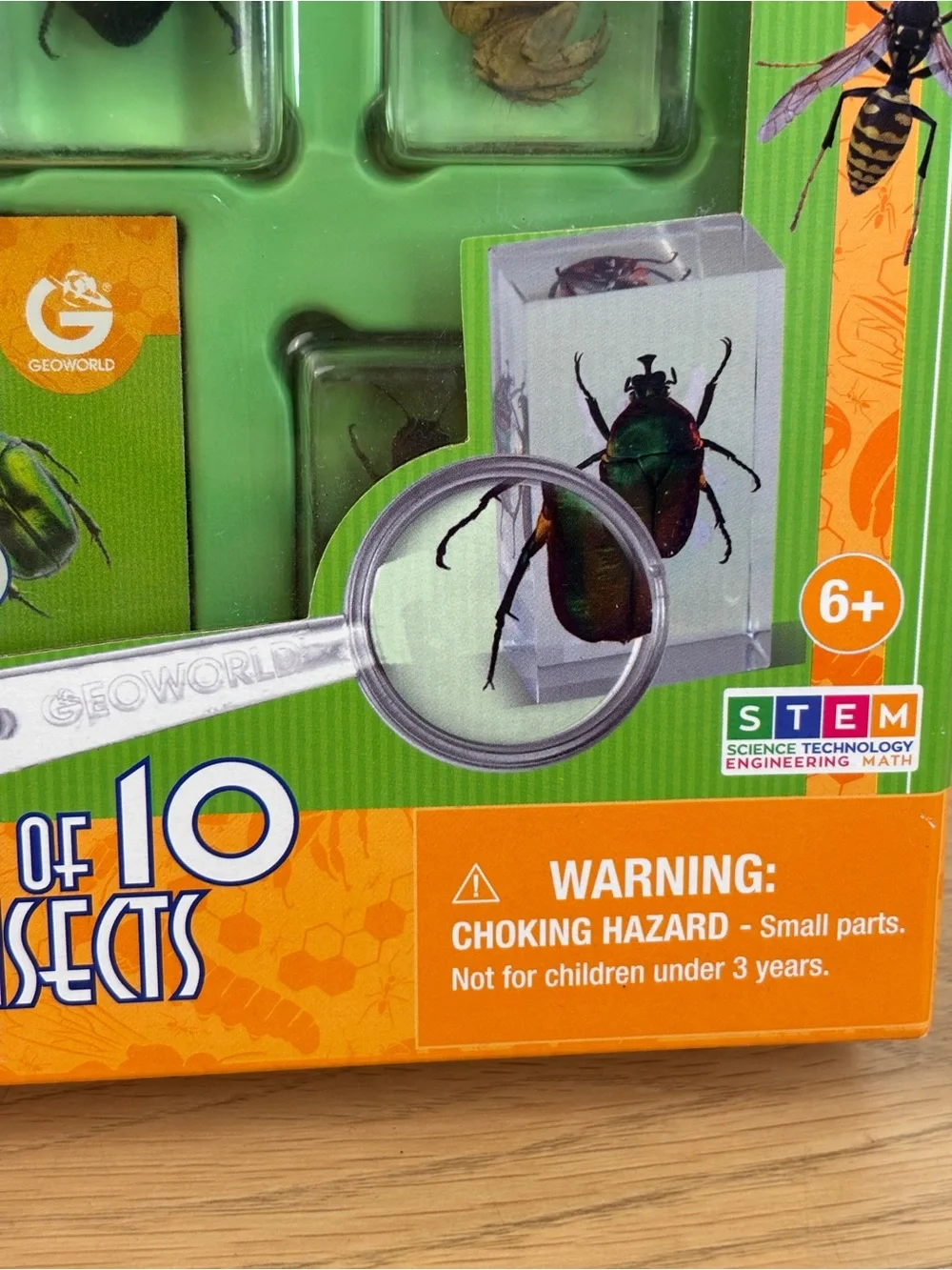 Dr. Steve Hunters Bug's World Collection - Entomology Set NEW!